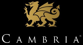 A black and gold logo for ambra